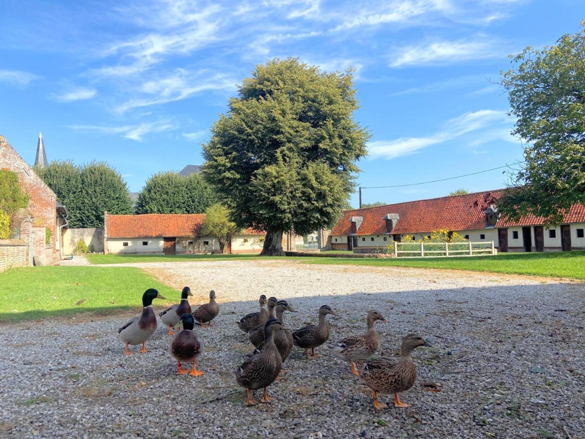Bed & Breakfast Chateau D'aigneville *